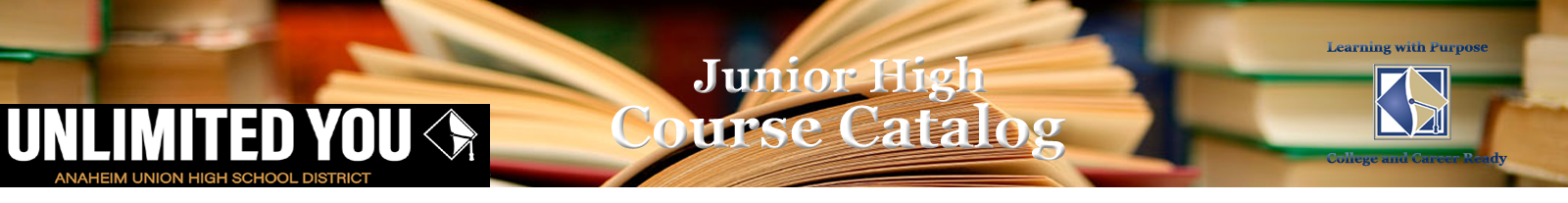 Junior - AUHSD Course Catalog