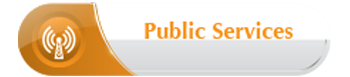 Public Service Industry